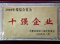 2008年度包河工業區綜合實力十強企業